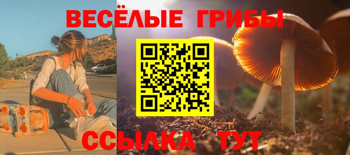 Галлюциногенные грибы Cubensis  Галлюциногенные грибы мицелий  Вход с VPN  Алушта 